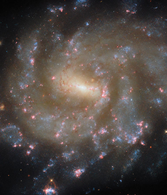 This Hubble image shows the barred spiral galaxy NGC 685. The color image was made from separate exposures taken in the ultraviolet, visible and near-infrared regions of the spectrum with Hubble’s Wide Field Camera 3 (WFC3). It is based on data obtained through six filters. The color results from assigning different hues to each monochromatic image associated with an individual filter. Image credit: NASA / ESA / Hubble / J. Lee / F. Belfiore.