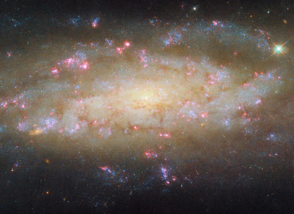 This Hubble image shows NGC 7456, a spiral galaxy located 51 million light-years away in the constellation of Grus. Image credit: NASA / ESA / Hubble / D. Thilker.