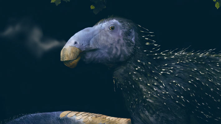 Des paléontologues découvrent de nouvelles espèces de dinosaures aux structures cutanées jamais vues auparavant