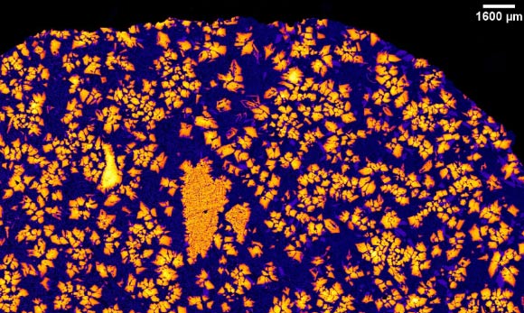 L'image radiographique de NWA 12774. Crédit image : Aaron Bell / CU Boulder.