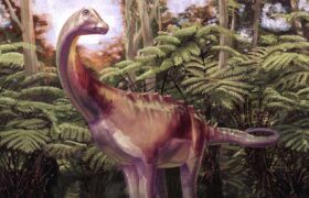Un fossile vieux de 83 millions d&rsquo;années réécrit la chronologie de la première découverte de dinosaures en Antarctique