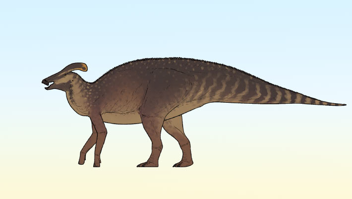 De nouvelles espèces de dinosaures à crête identifiées au Canada