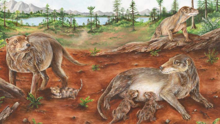 Les preuves fossiles repoussent l’origine des naissances vivantes de 90 millions d’années