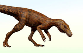 Les premiers dinosaures prédateurs ont survécu au changement dans leur écosystème, suggère un fragment fossile