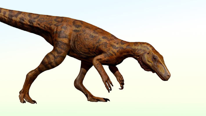 Les premiers dinosaures prédateurs ont survécu au changement dans leur écosystème, suggère un fragment fossile