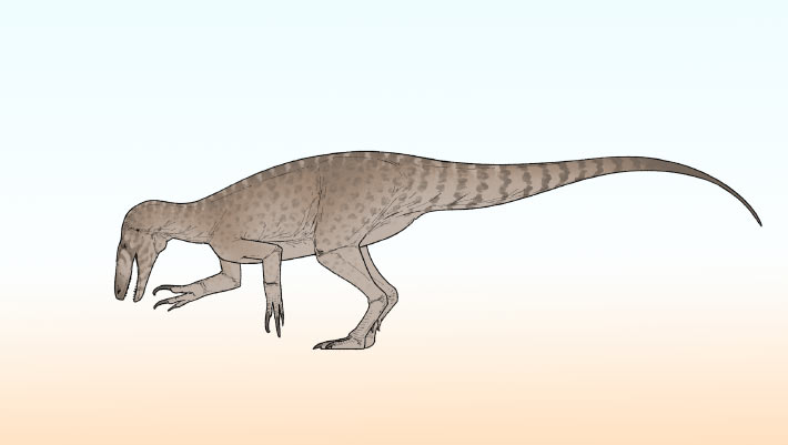 Une nouvelle espèce de dinosaure prédateur identifiée en Argentine